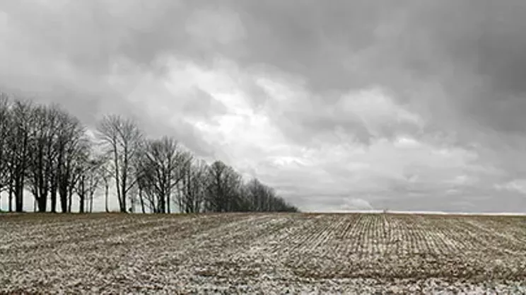 Image: Carl Snyder: Landscapes&mdash;Two Scales