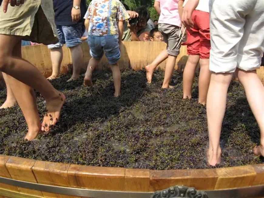 grapes.webp