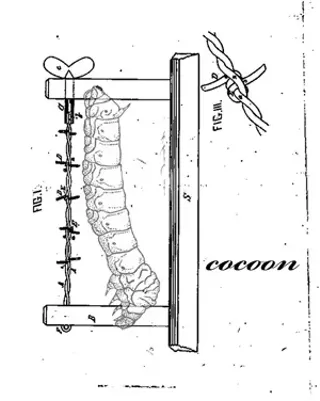 Image: Cocoon: Mary Babcock