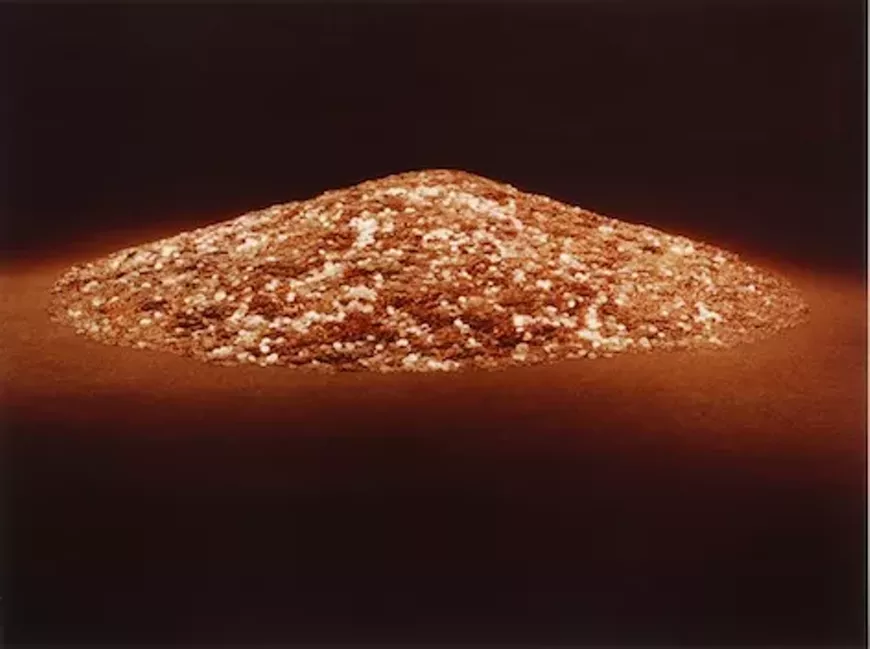 Gerald Ferguson, One million Canadian pennies