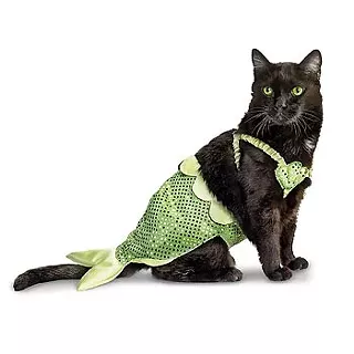 Image: Halloween Cat Show