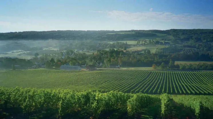 Image: Perfect Pairings Progressive Dinner and Wine Tour