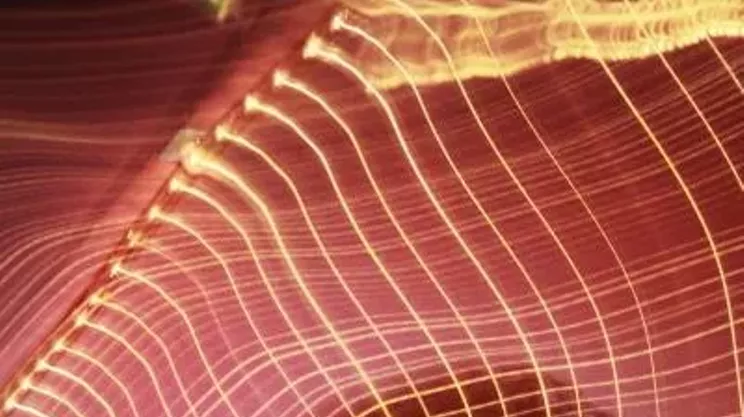 Image: Postdata with Brian Borcherdt, Julie Fader