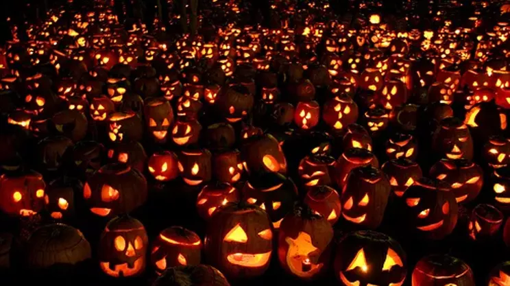 Image: Pumpkin Crazy Pumpkin Festival