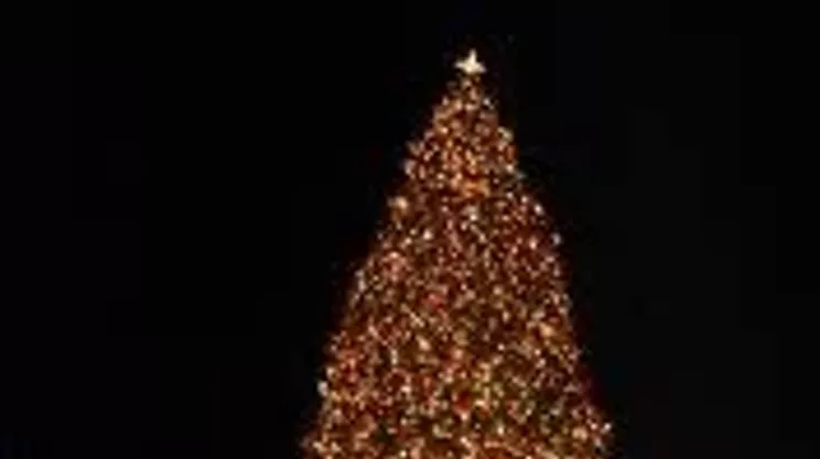 Image: Sackville Christmas Tree Lighting