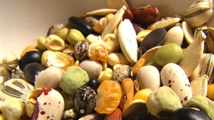 Image: Seedy Sunday