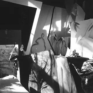 Image: Suzanne Gauthier: Acquainted with the Light