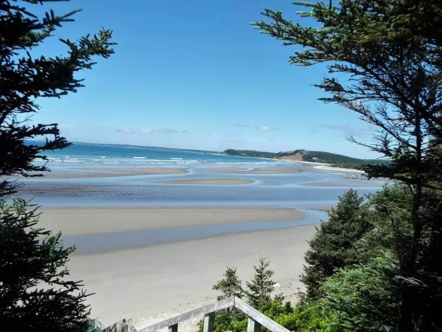 clamharbour.webp