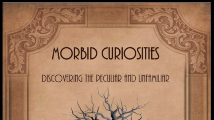 Morbid Curiosities: Discovering the Peculiar and Unfamiliar