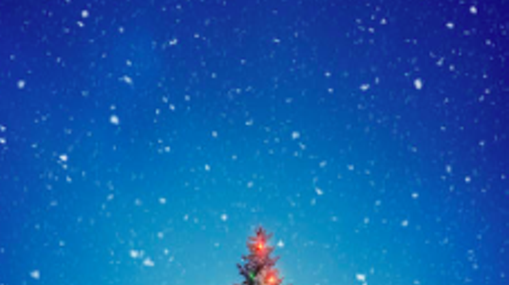 Image: The Celtic Christmas Show