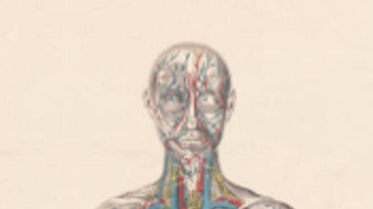 Image: Body Worlds Rx