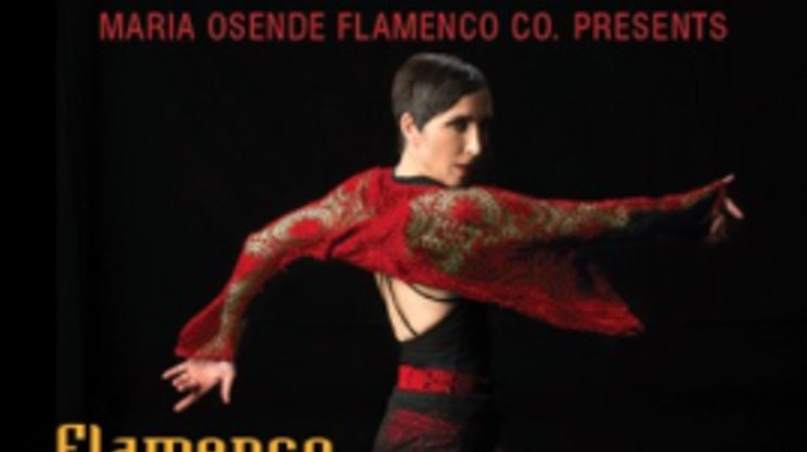 Image: Flamenco For The Soul