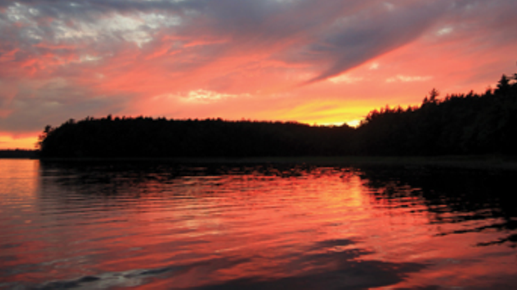 Image: Parks Canada Bio-blitz
