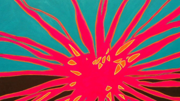Image: Colour Kerfuffle