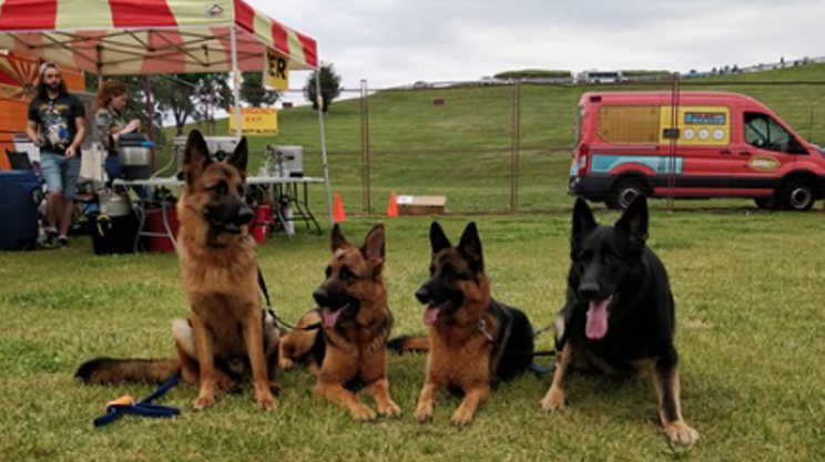 Image: Hair of the Dog: Beer garden and dog park