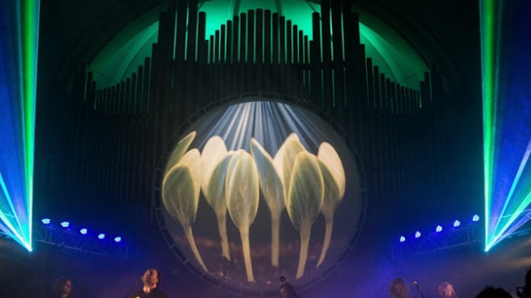 Image: PIGS: Canada's Pink Floyd