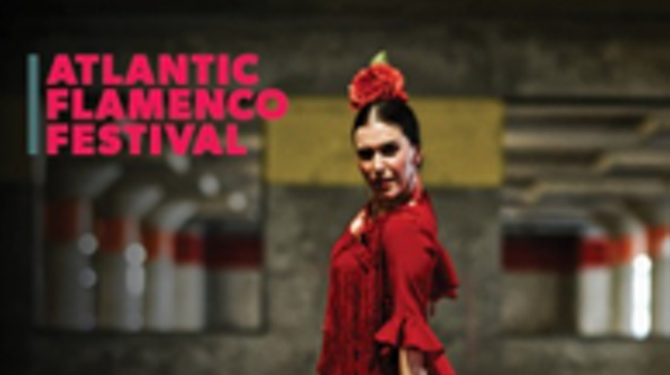 Image: Flamenco Night with Virginia Castro Duran