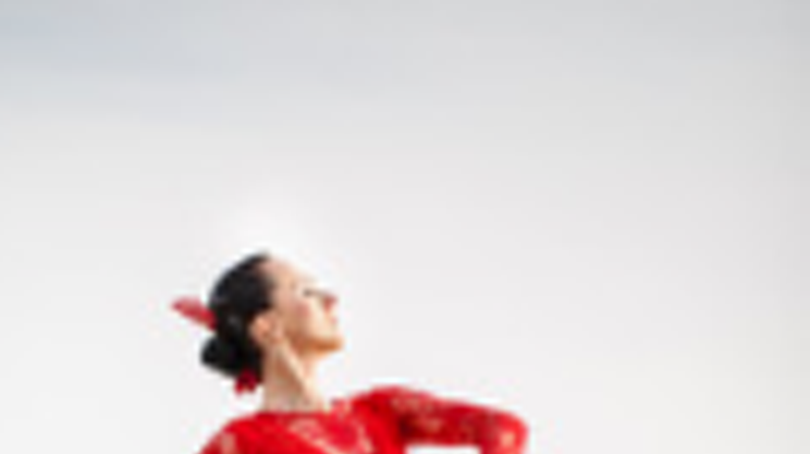 Image: An Afternoon of Flamenco