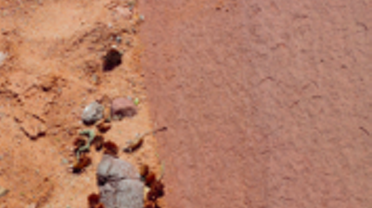 Image: floating rocks and young rope