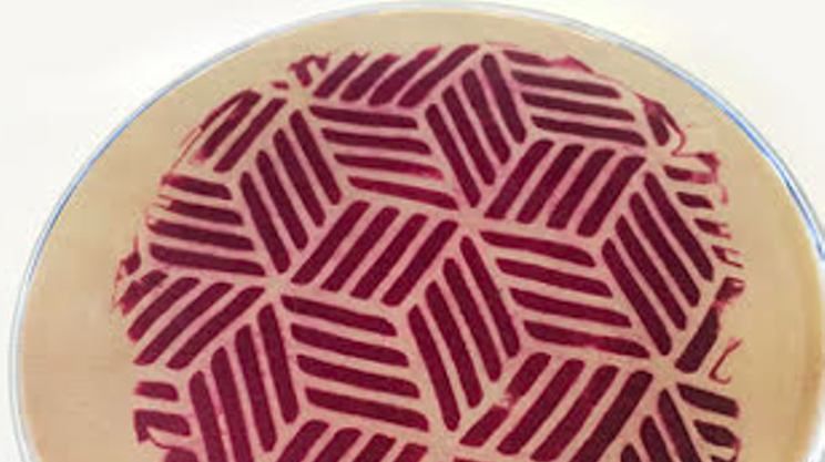 Image: Bacterial BioPigments Master Class