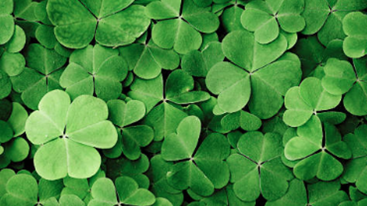 Image: St. Patty's Doubles Quickspiel & Bingo Night