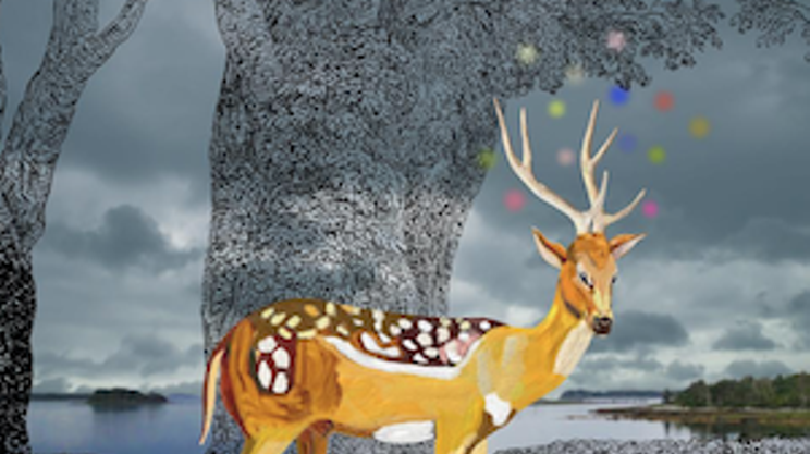 Image: DEER