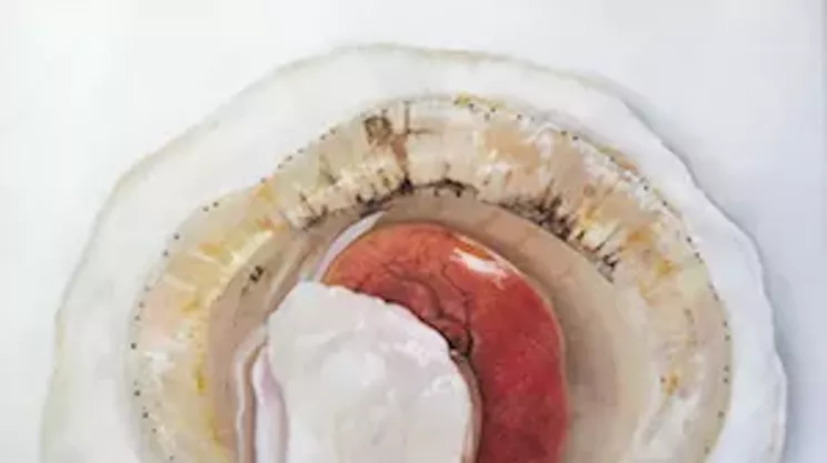 Image: Sea (Your) Food