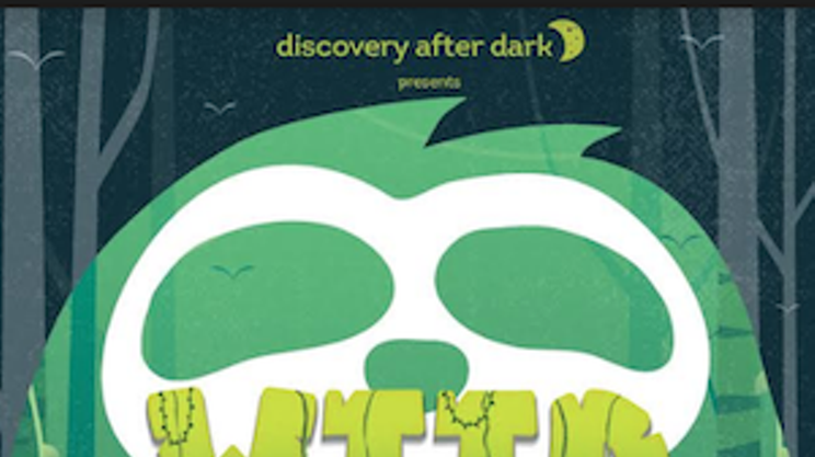 Discovery After Dark: Wild Things