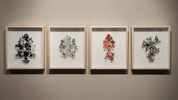 Image: Giorgia Volpe: Weaving the Existing