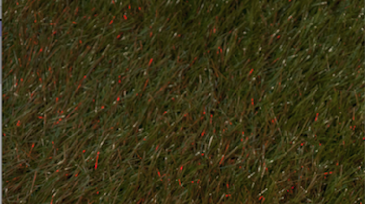 Image: Present Ground