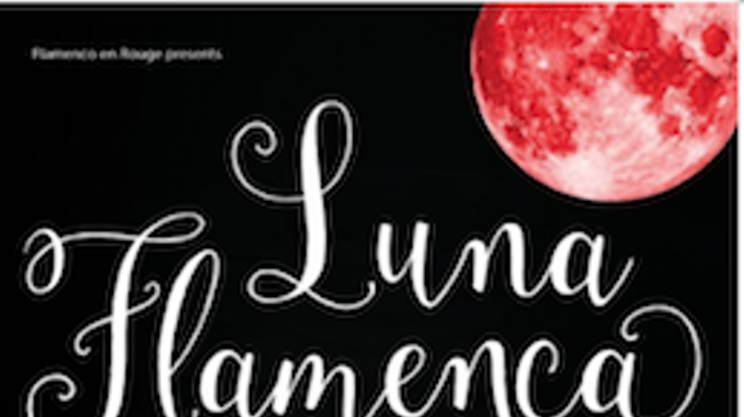 Luna Flamenca Valentine Show