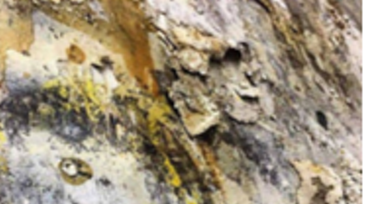 Image: Surfaces and Subtleties