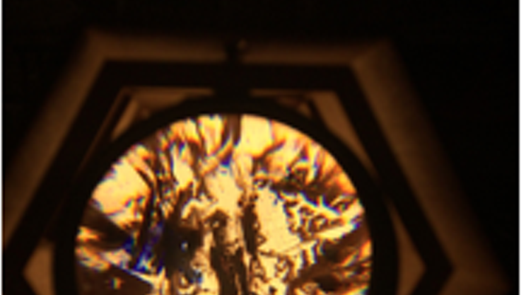 Image: savi|skoop