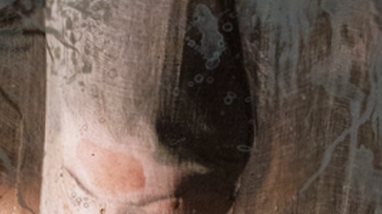 Image: Liz Ingram: Site Collaborations