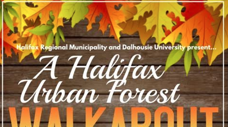 Image: Halifax Urban Forest Walkabout