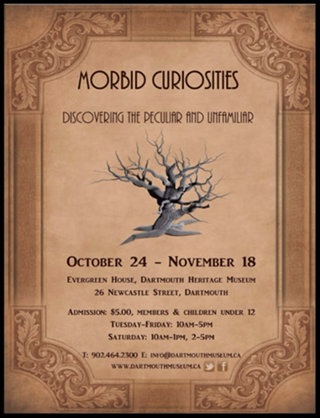 Image: Morbid Curiosities: Discovering the Peculiar and Unfamiliar