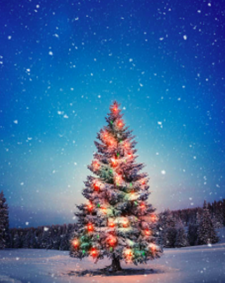 Image: The Celtic Christmas Show