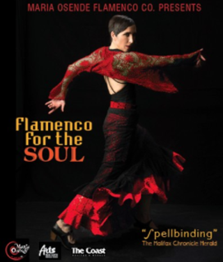 Image: Flamenco For The Soul