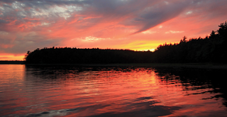 Image: Parks Canada Bio-blitz