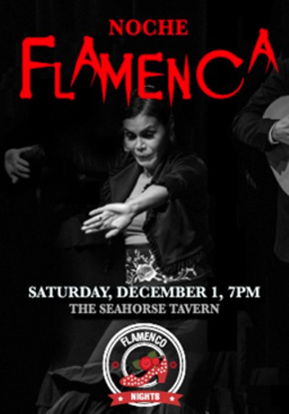 Image: Noche Flamenca