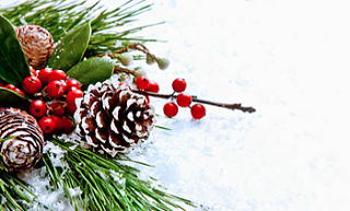 Image: Foggy Goggle Merry-Making