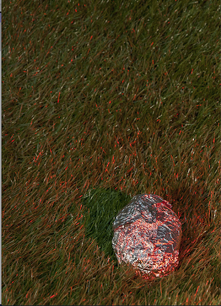 Image: Present Ground