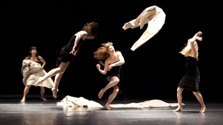 Image: Mocean Dance Double Bill