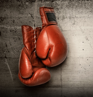 Image: UFC Fight Night: Halifax