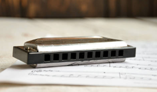 Image: The Atlantic Canada Harmonica Festival