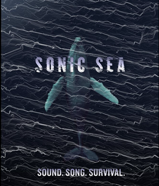 Image: Sonic Sea Screening