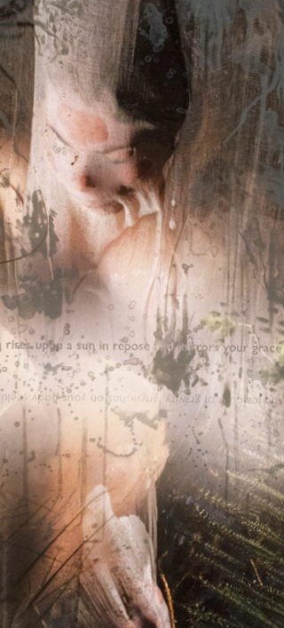 Image: Liz Ingram: Site Collaborations