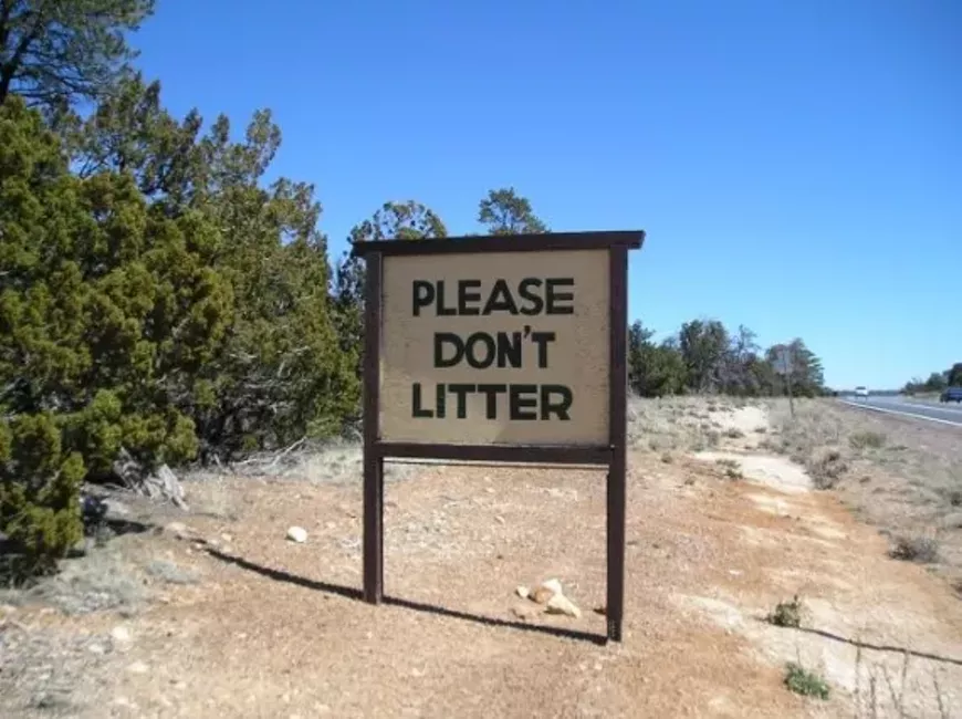 litter.webp
