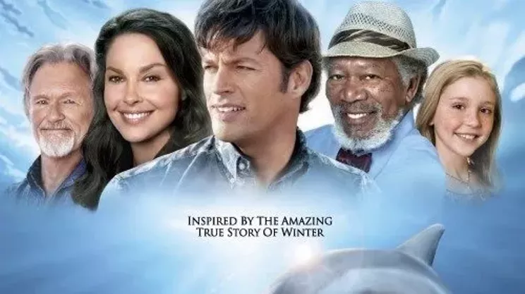 Image: Win passes to see Dolphin Tale from Warner Bros. and The Coast