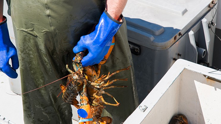 5 ways Halifax restaurants can show solidarity with Mi’kmaq lobster fishers (2)